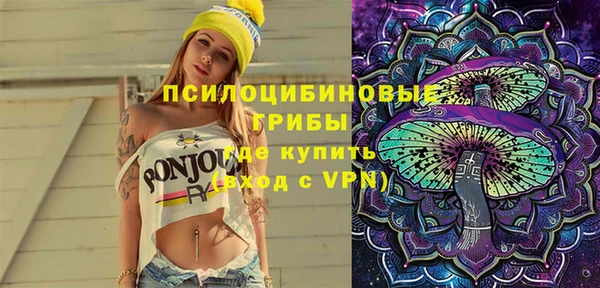 гидра Алексеевка