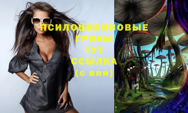 таблы Алзамай