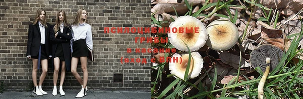 героин Алексин
