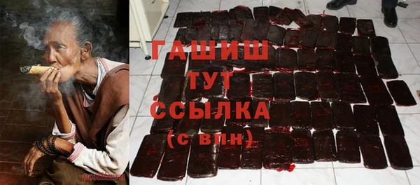 гидра Алексеевка