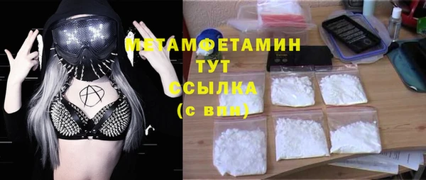гидра Алексеевка