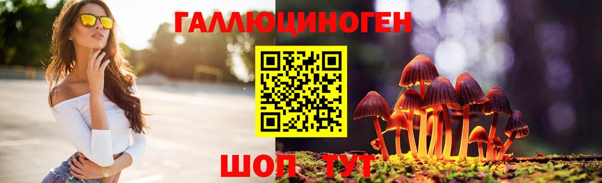 Галлюциногенные грибы Psilocybe  Вход с VPN  Грязи 